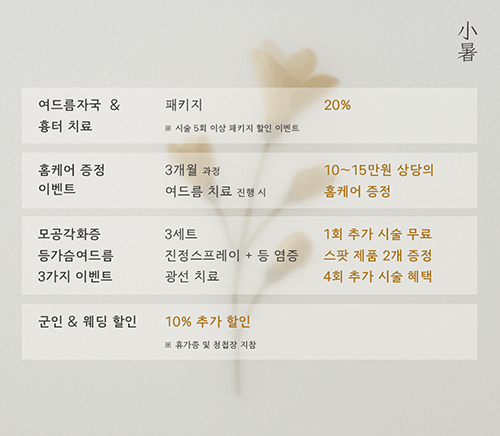 6월 이벤트